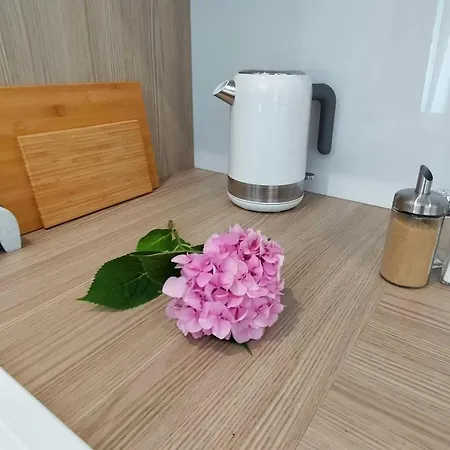 Cicha Przystan Whiteblue Sauna&fitness&parking Apartment *